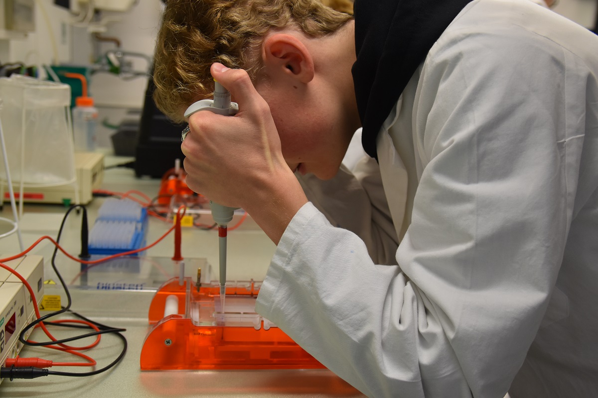 bio labor3
