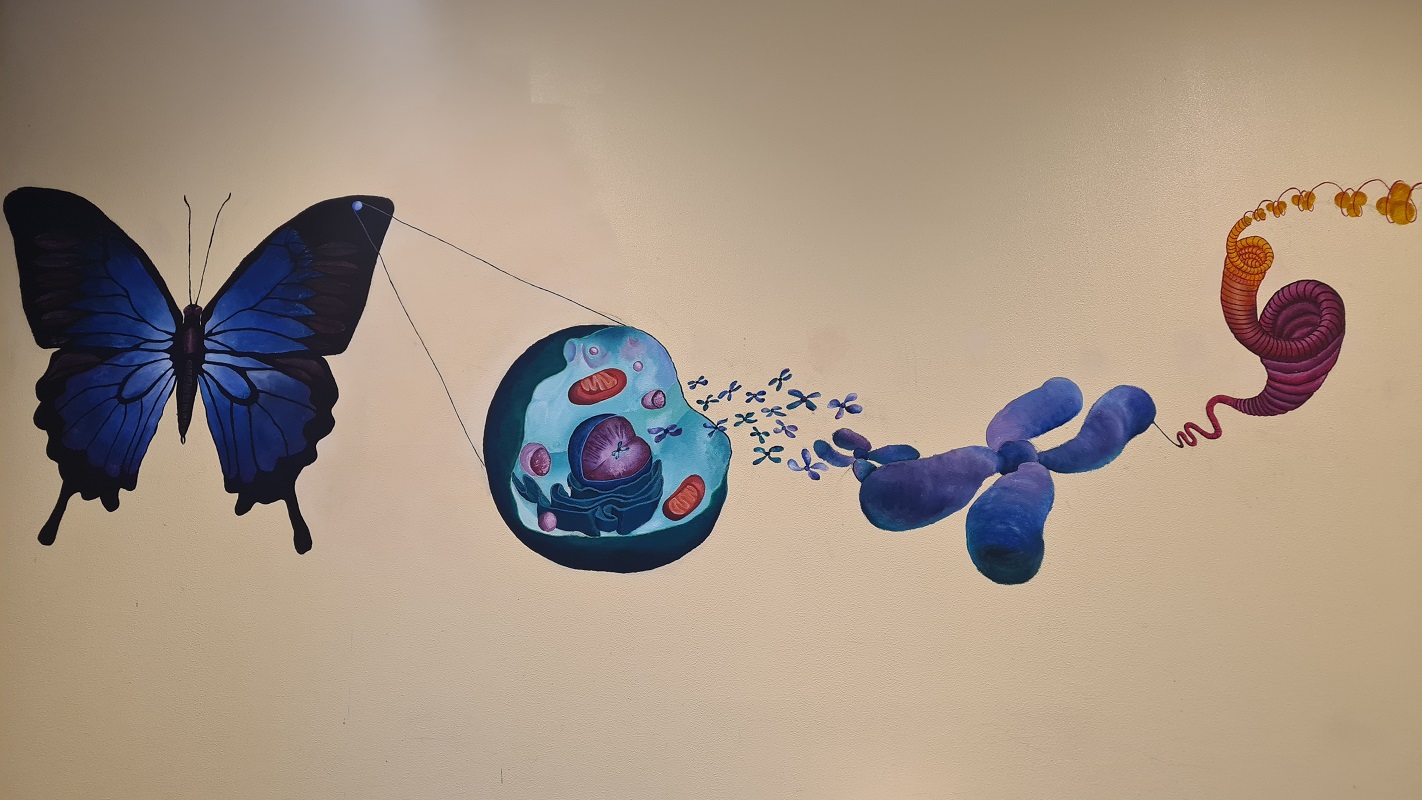 bio wand