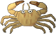 crab