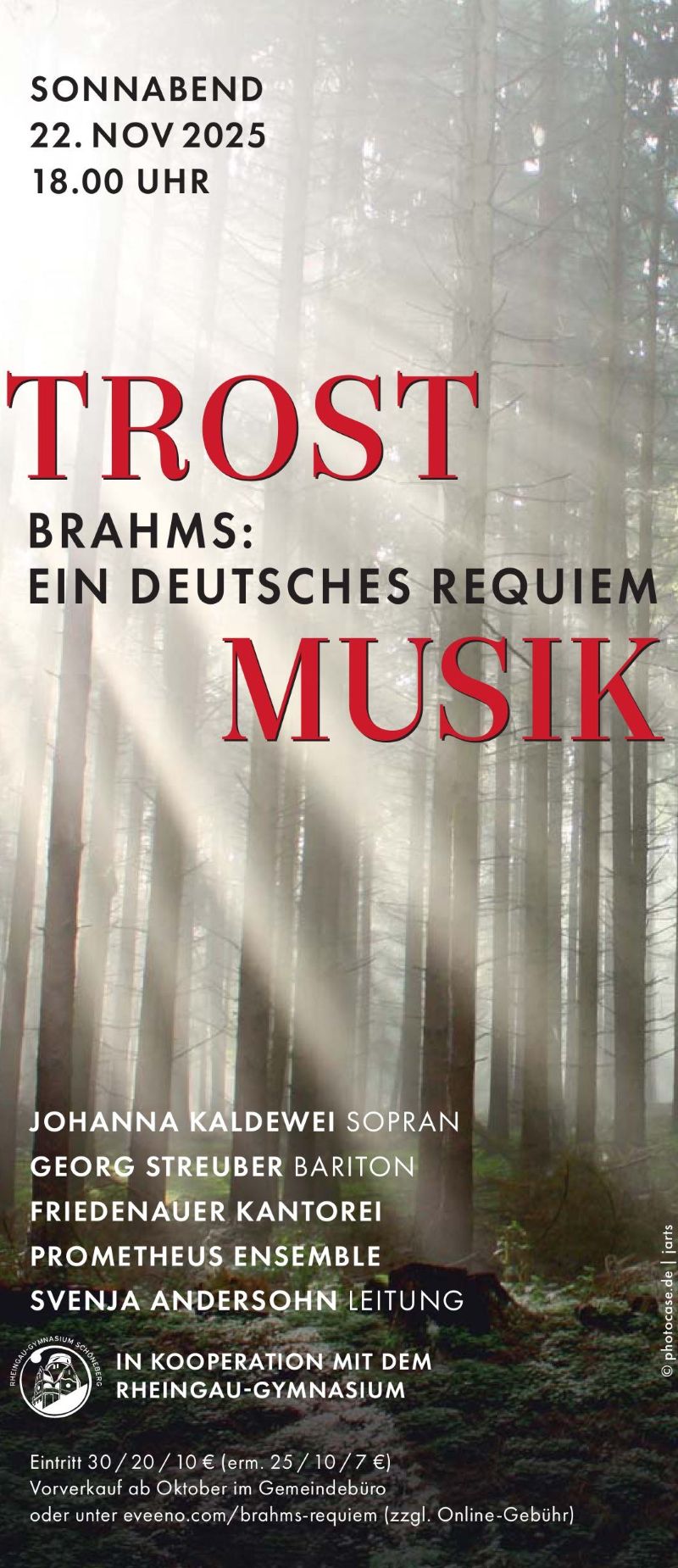 25 trostmusik brahms grafik flyer