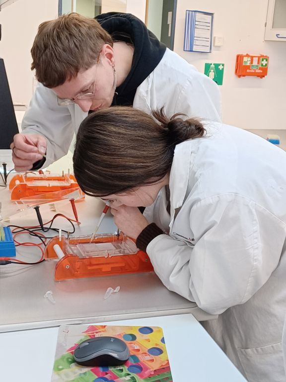 20251204 120141 Kopie